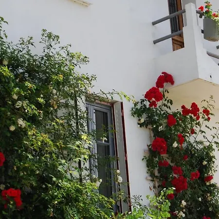 St P Vegetarien 3* Saint-Pastous